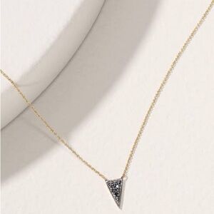 Stella & Dot Covet Renegade 14k necklace